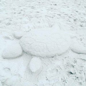 Meet your Posher, Rachel mae